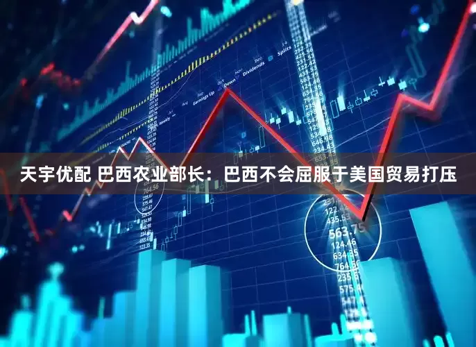 天宇优配 巴西农业部长：巴西不会屈服于美国贸易打压