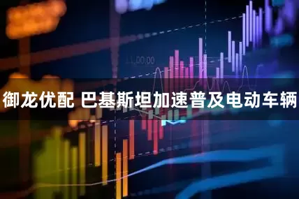 御龙优配 巴基斯坦加速普及电动车辆