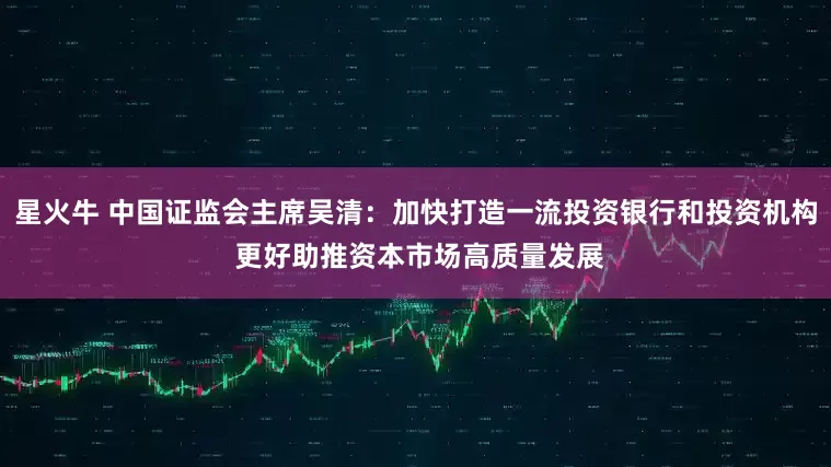 星火牛 中国证监会主席吴清：加快打造一流投资银行和投资机构 更好助推资本市场高质量发展
